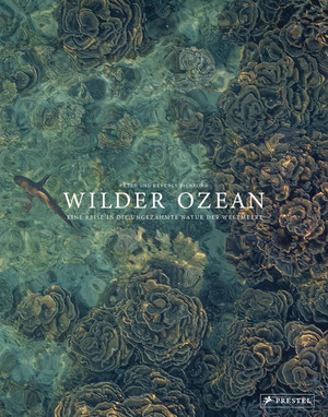 Wilder Ozean