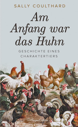 Am Anfang war das Huhn