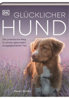 Glücklicher Hund