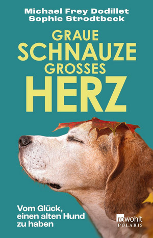 Graue Schnauze, großes Herz