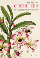 Orchideen