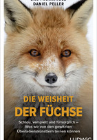 Die Weisheit der Füchse