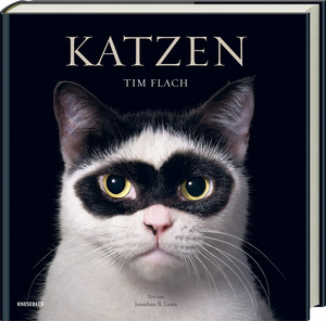 Katzen