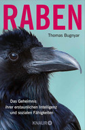 Raben: Das Geheimnis ihrer erstaunlichen Intelligenz und sozialen Fähigkeiten