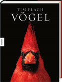 Vögel