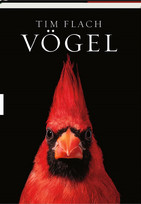 Vögel