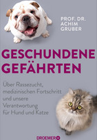 Geschundene Gefährten