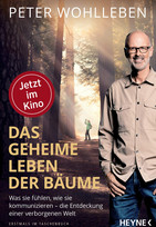 Das geheime Leben der Bäume