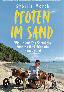 Pfoten im Sand