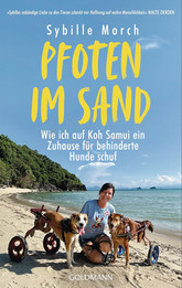 Pfoten im Sand