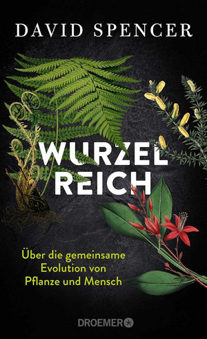 Wurzelreich: Über die gemeinsame Evolution von Pflanze und Mensch