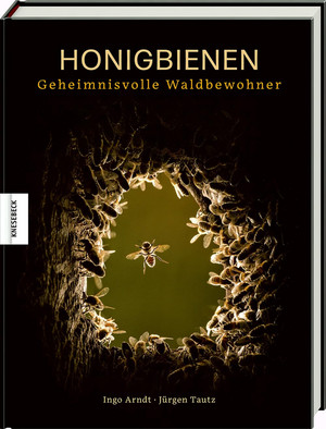 Honigbienen - Geheimnisvolle Waldbewohner