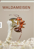 Waldameisen: Superheldinnen auf sechs Beinen