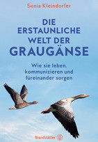 Die erstaunliche Welt der Graugänse