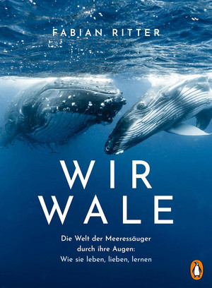 Wir Wale: Die Welt der Meeressäuger durch ihre Augen: Wie sie leben, lieben, lernen